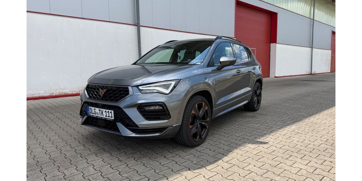 Cupra Ateca 65.008 km 26.980 &euro; Blindheim 89434