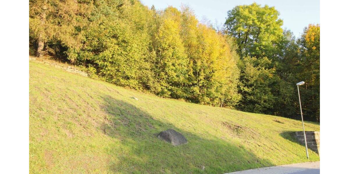 Grundstück Sebnitz - 30.000&euro; | Angebot:26789889