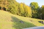 Grundstück Sebnitz - 30.000&euro; | Angebot:26789889