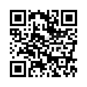 Dachgeschoßwohnung Zwickau - 1 Zimmer, 59 m&sup2;, 369&euro; | Angebot:26038804