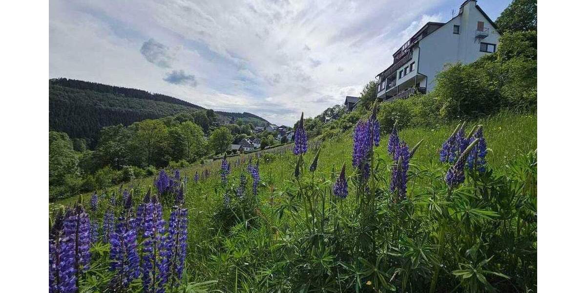 Etagenwohnung Schmallenberg Nordenau - 3 Zimmer, 74 m&sup2;, 140.000&euro; | Angebot:25271615