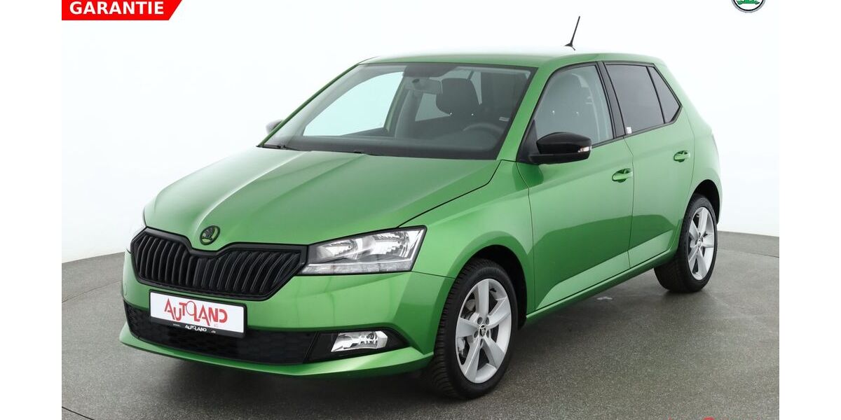Skoda Fabia 64.263 km 13.990 &euro; Hoppegarten OT Hönow 15366