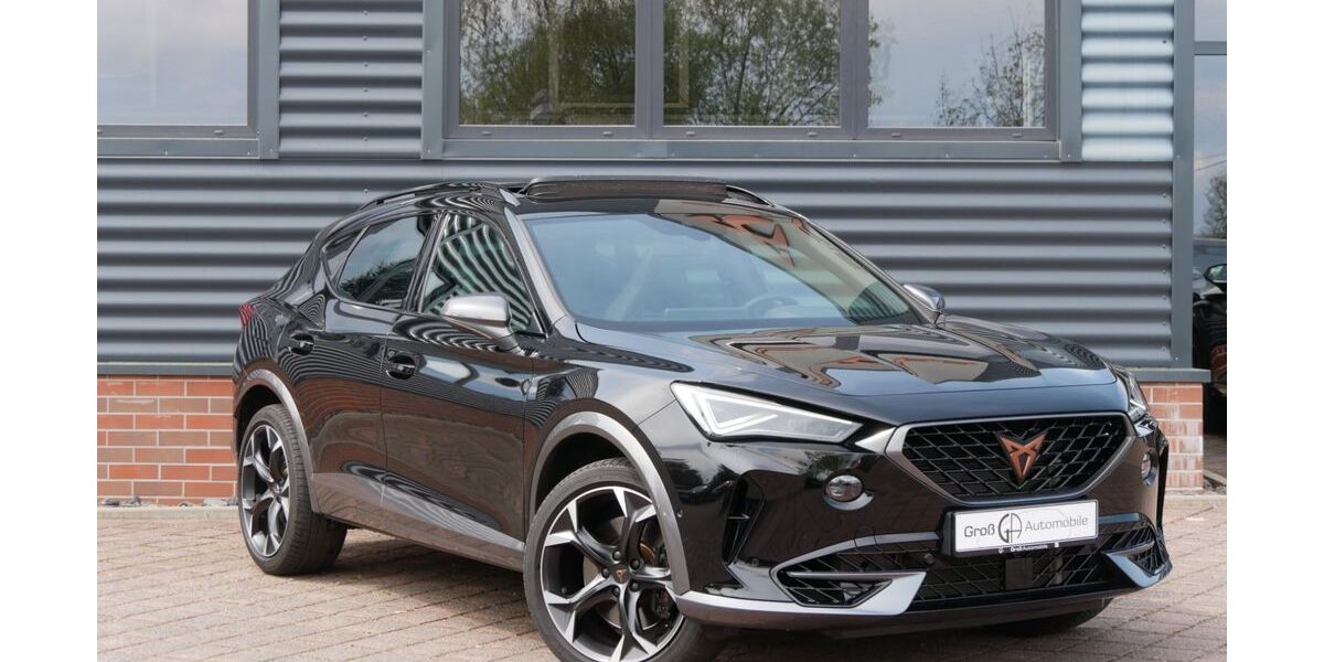 Cupra Formentor 39.890 km 34.990 &euro; Schneeberg 08289