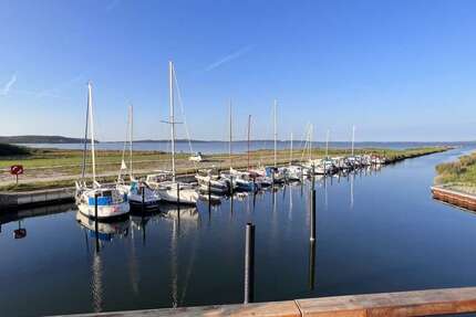 Wohnung zum Kaufen in Potsdam 890.000 € 100 m² 5 zimmer