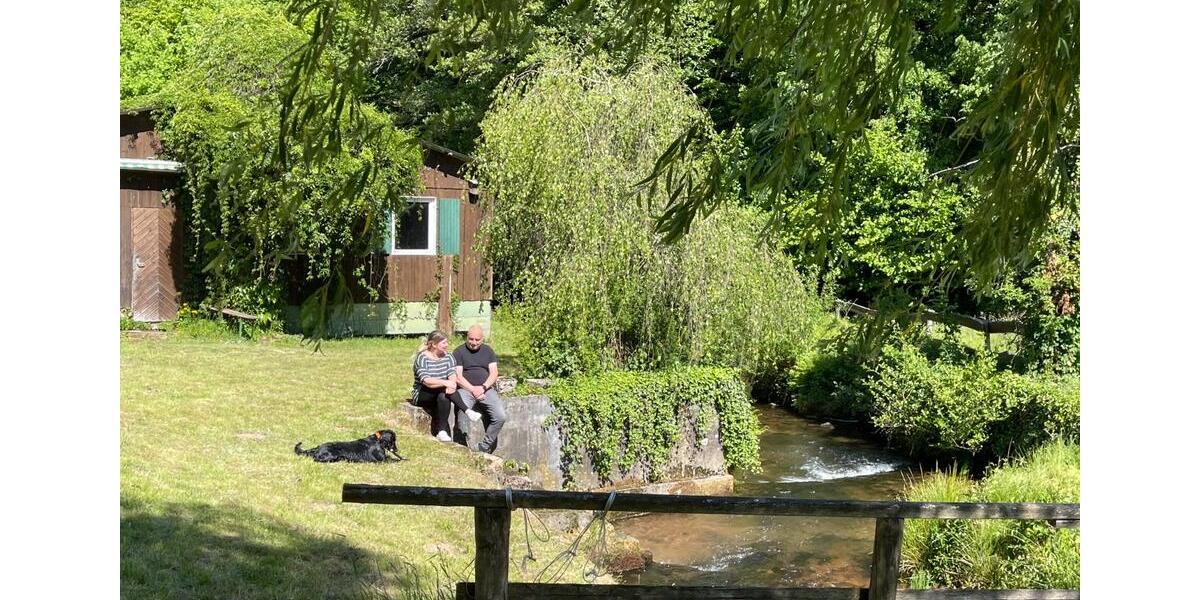 6 Zimmer pure Möglichkeiten in Naturlage - Eberbach im Odenwald 6 zimmer