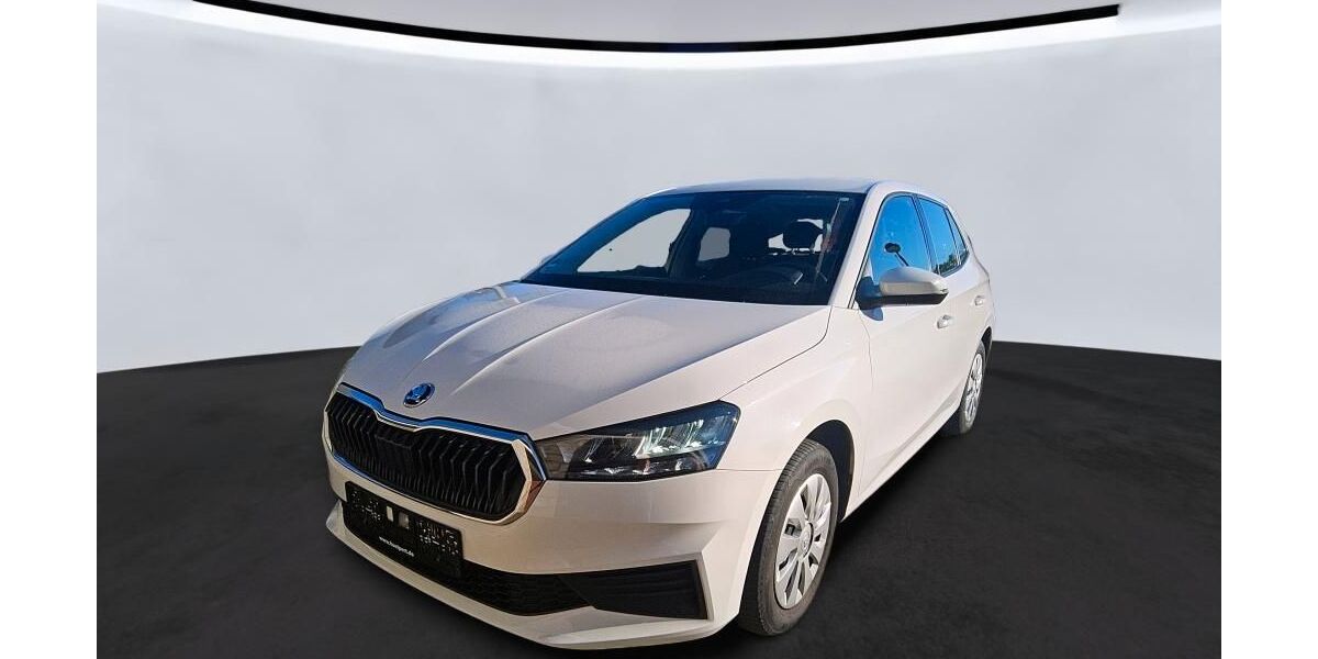 Skoda Fabia 55.600 km 15.850 &euro; Leipzig 04347