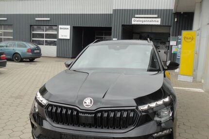 Skoda Kamiq 1.500 km 27.990 &euro; Pegnitz 91257