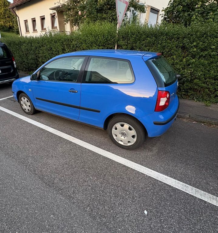 Polo