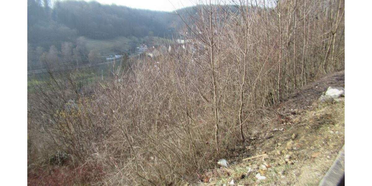 Grundstück Horb am Neckar Ihlingen - 98.500&euro; | Angebot:25796387