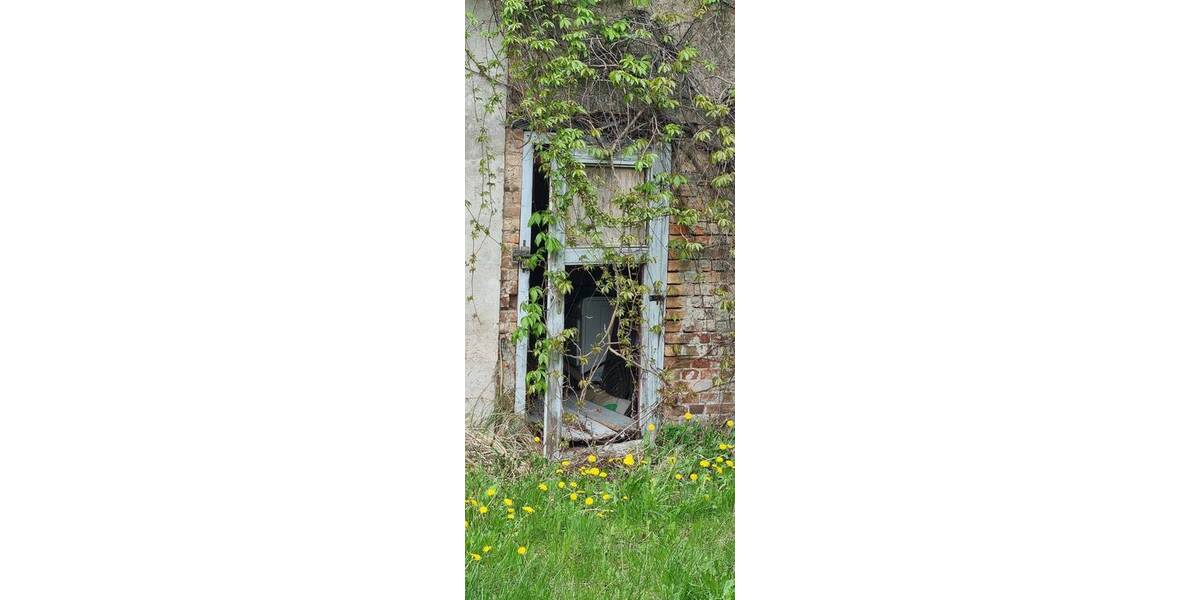 Mehrfamilienhaus, Wohnhaus Eggesin - 1 Zimmer, 340 m&sup2;, 29.000&euro; | Angebot:26568995