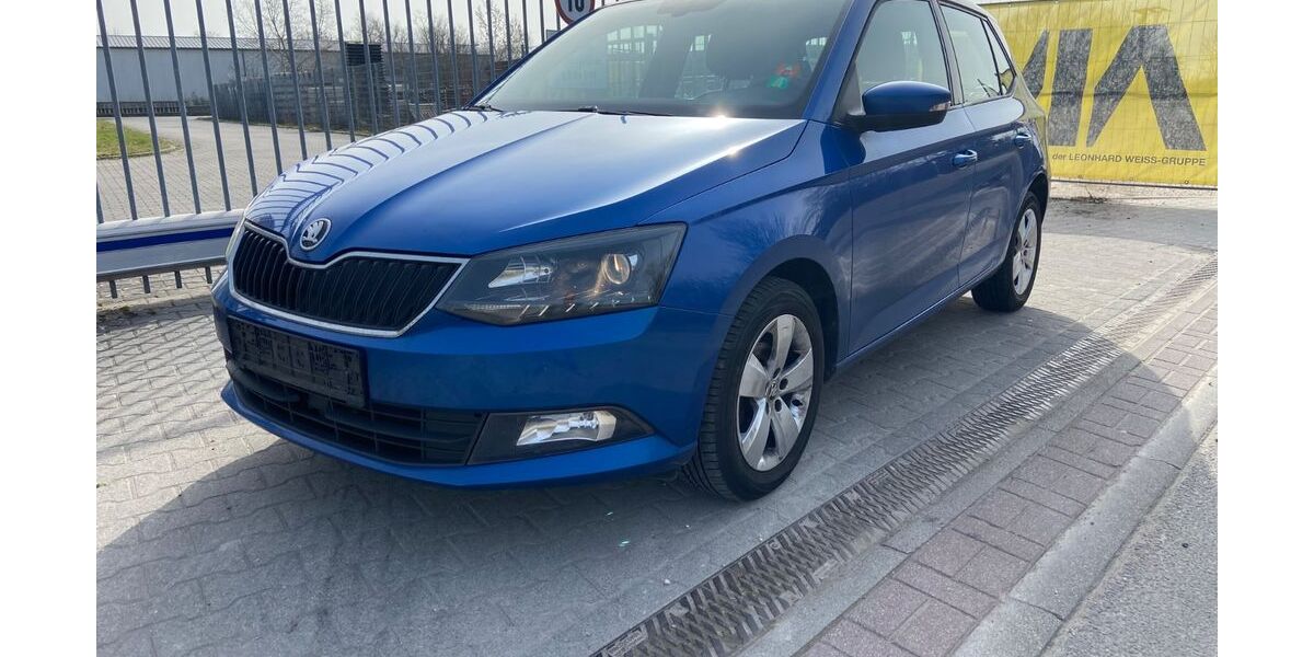 Skoda Fabia 228.000 km 3.999 &euro; Hockenheim 68766
