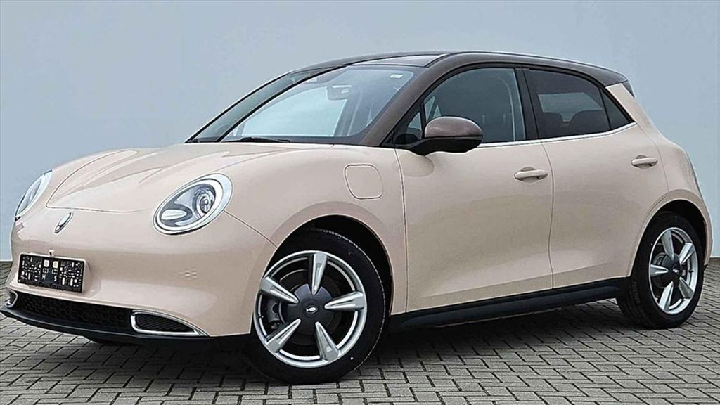 GWM Ora 03 32.970 km 18.970 &euro; Neuensalz 08541