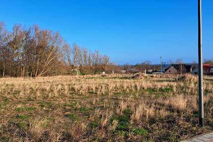 Grundstück Klütz OT Wohlenberg Wohlenberg - 190.000&euro; | Angebot:25275695