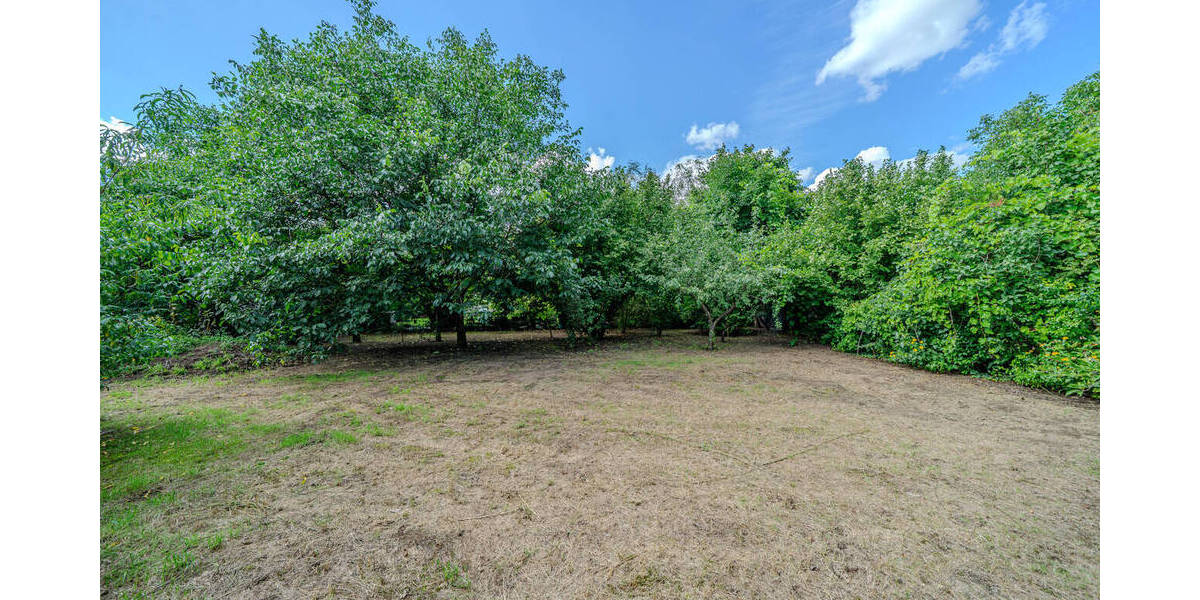Sonniges Baugrundstück in zweiter Reihe - Wohnen nahe Wald und See zimmer