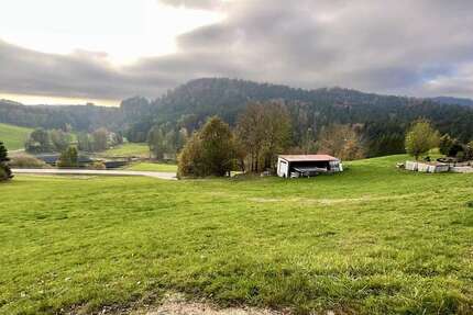 Grundstück Waldkirchen - 55.000&euro; | Angebot:24040015