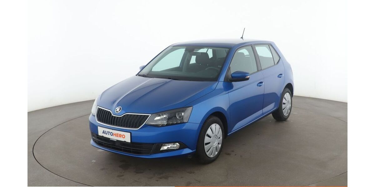 Skoda Fabia 46.752 km 14.020 € Leipzig 04328