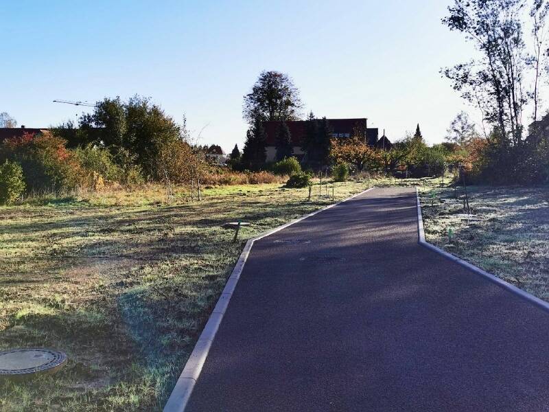 Preisrutsch in Struppen- Anbau