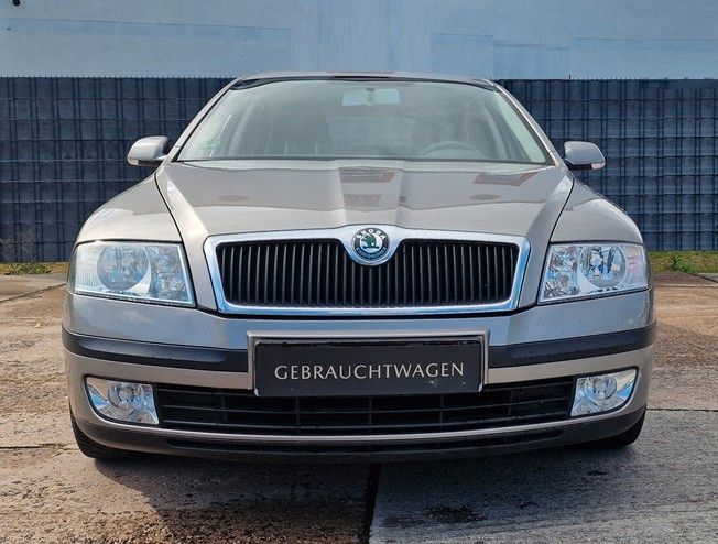 Skoda Octavia 191.631 km 1.398 &euro; Döbeln 04720