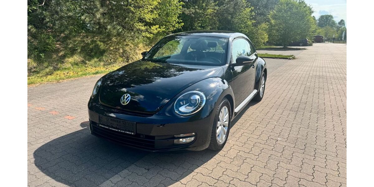VW Beetle 113.446 km 9.500 &euro; Buchholz 21244