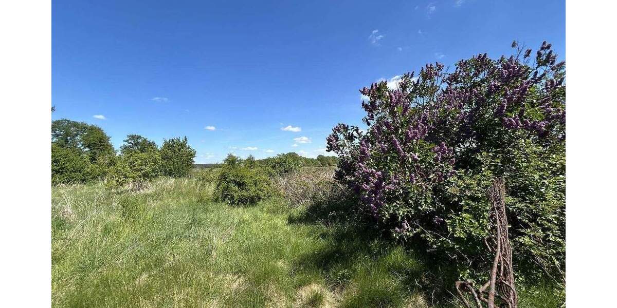 Bauernhaus, Landhaus Löwenberger Land Grieben - 1 Zimmer, 290 m&sup2;, 249.000&euro; | Angebot:25752302