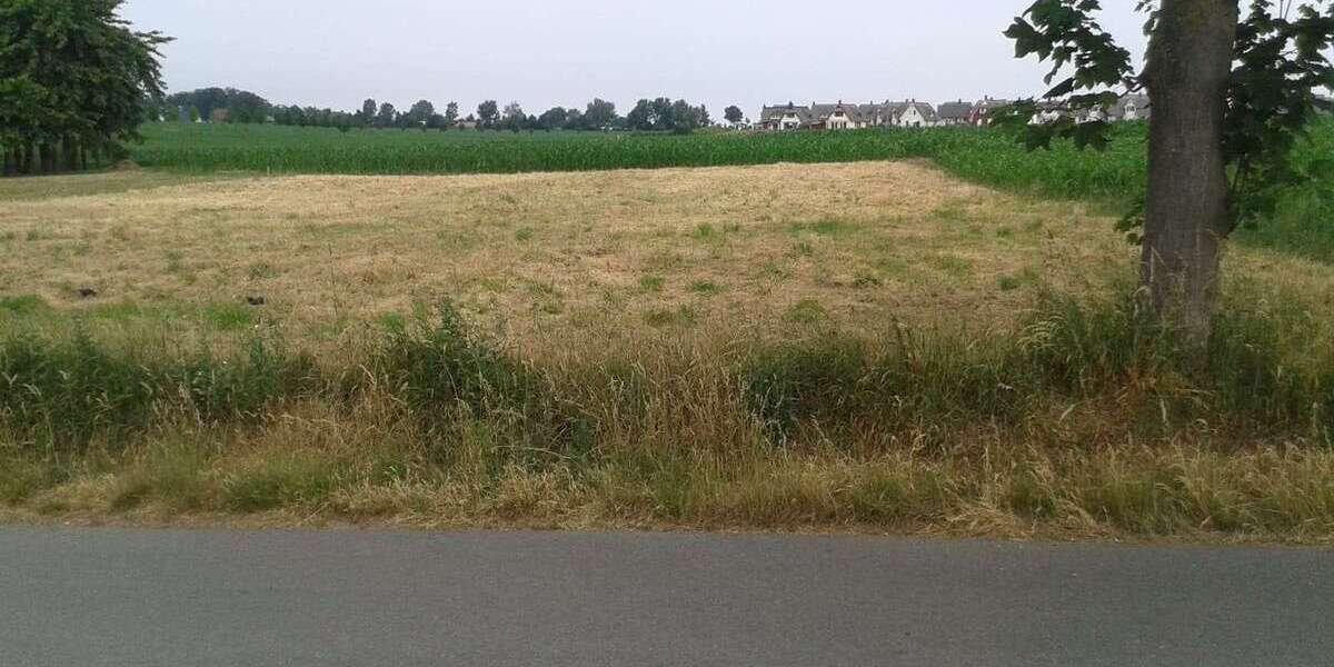 Grundstück Zierow - 424.960&euro; | Angebot:25533813