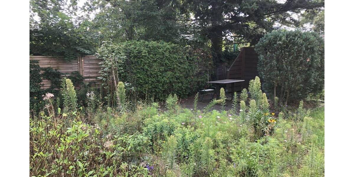 Versteigerungsimmobilie Radebeul - 800.000&euro; | Angebot:24634750