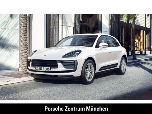 Macan