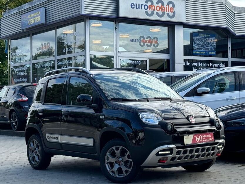 Panda