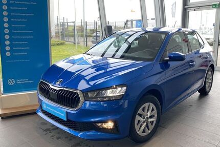 Skoda Fabia 1.100 km 19.350 &euro; Bad Vilbel 61118