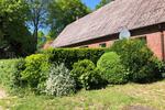 Bauernhaus, Landhaus Oldendorf - 4 Zimmer, 130 m&sup2;, 250.000&euro; | Angebot:26477898