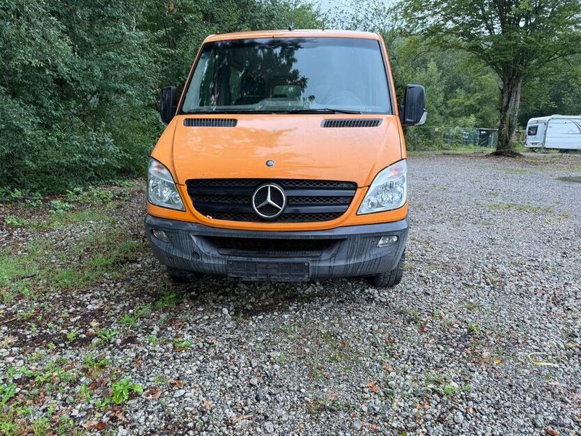 Sprinter