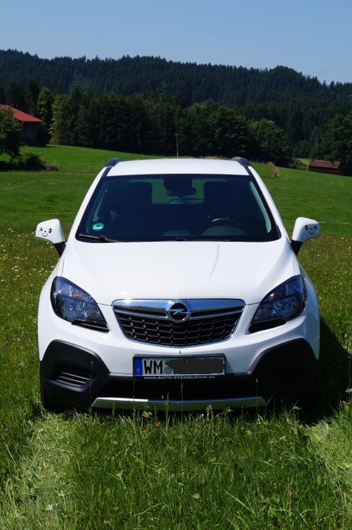Mokka