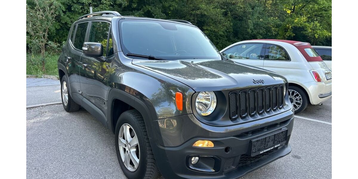 Jeep Renegade 101.000 km 5.900 &euro; Garching (bei München) 85748