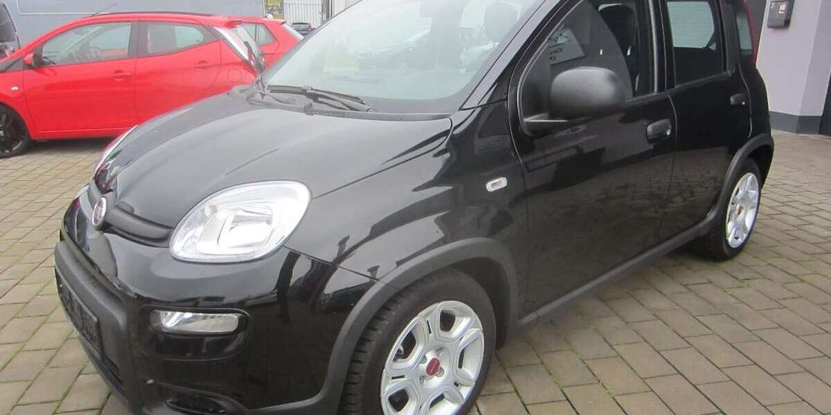 Fiat Panda 43.000 km 11.700 &euro; Erbach 64711