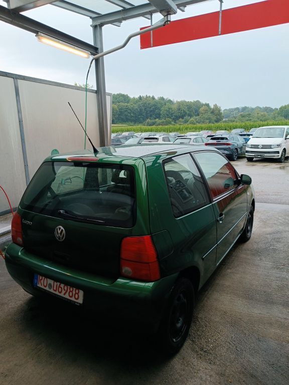 Lupo