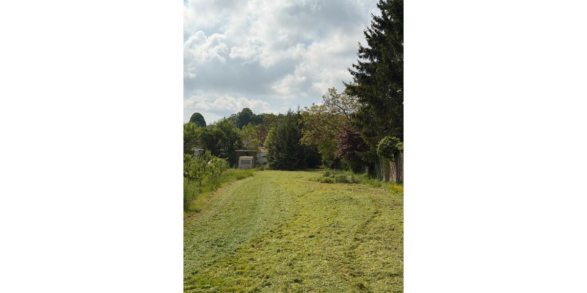 Grundstück Alzey - 7.788&euro; | Angebot:26459132