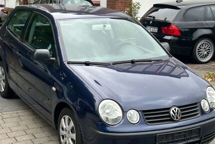 VW Polo