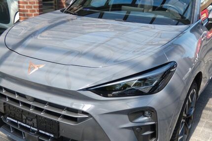 Cupra Terramar 12.500 km 39.500 &euro; Ahaus Ottenstein 48683