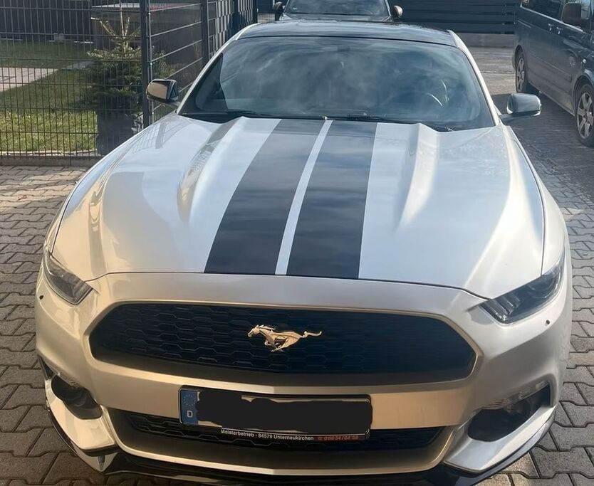 Mustang