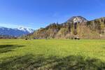 Grundstück Garmisch-Partenkirchen Burgrain - 755.000&euro; | Angebot:26388529