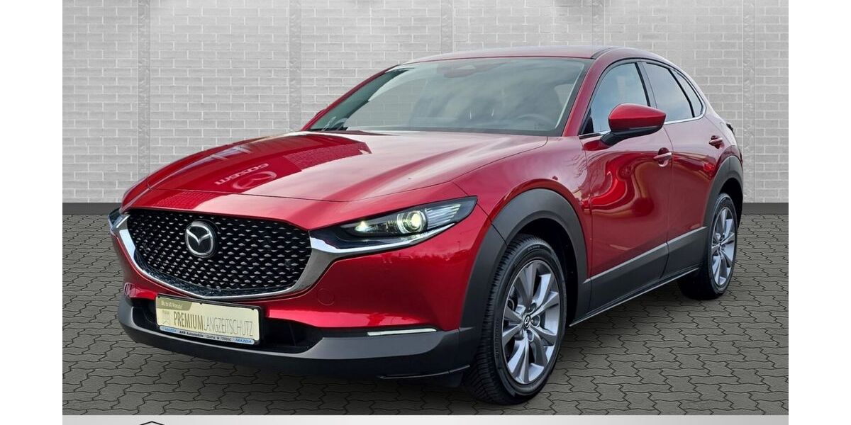 Mazda CX-30 14.990 km 26.490 &euro; Gotha 99867