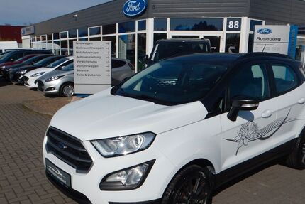 Ford EcoSport 46.000 km 13.990 € Aschersleben 06449