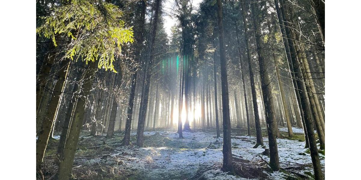 Etagenwohnung Olsberg - 5 Zimmer, 450 m&sup2;, 495.000&euro; | Angebot:26181703