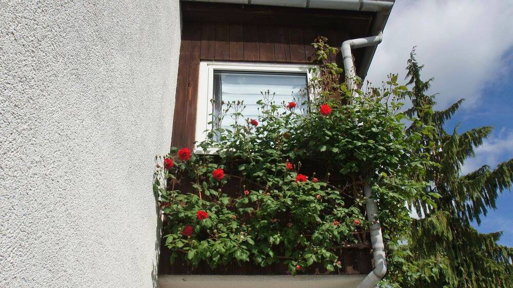 Einfamilienhaus Niederfinow - 4 Zimmer, 120 m&sup2;, 240.000&euro; | Angebot:25769089