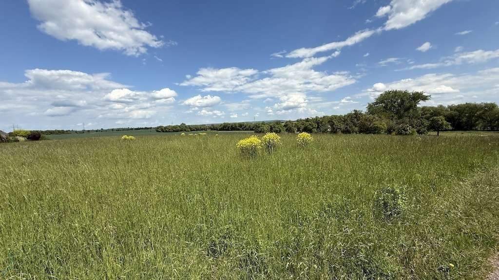 Grundstück Arnstadt Marlishausen - 143.520&euro; | Angebot:25667348