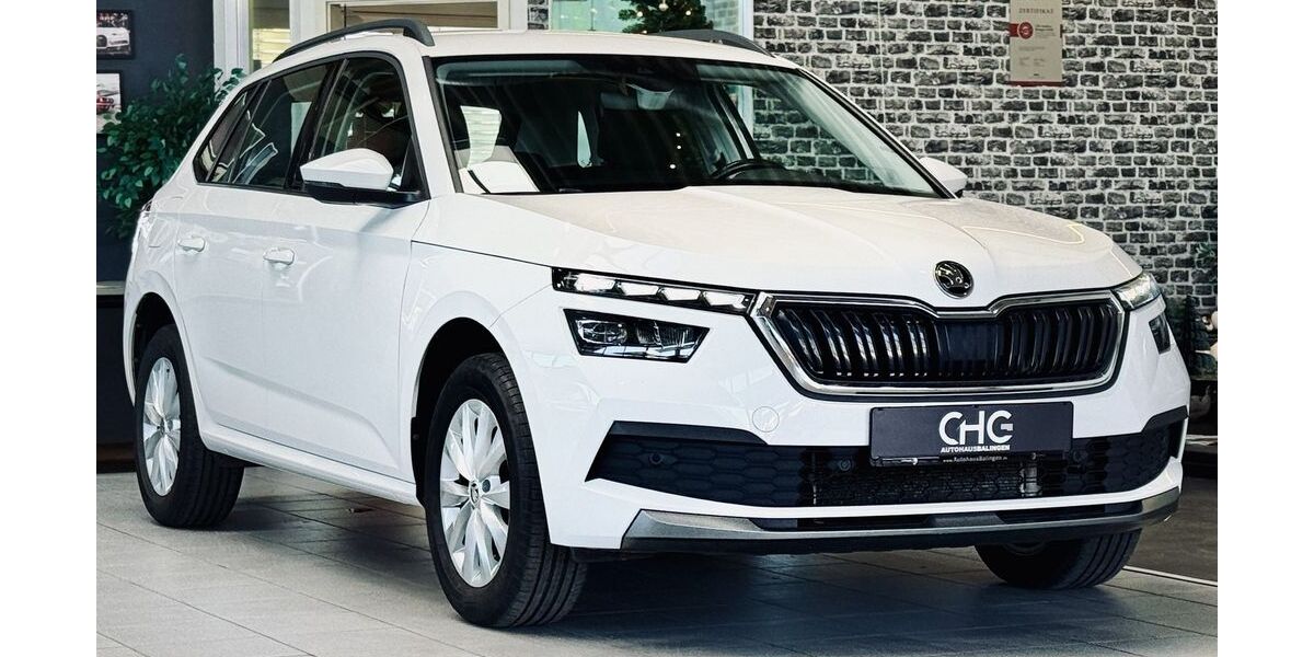 Skoda Kamiq 54.934 km 16.990 &euro; Balingen 72336