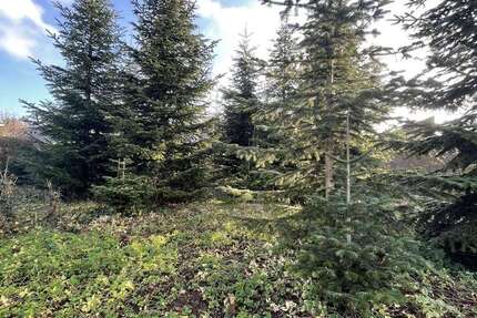 Grundstück Coesfeld - 221.250&euro; | Angebot:24277117