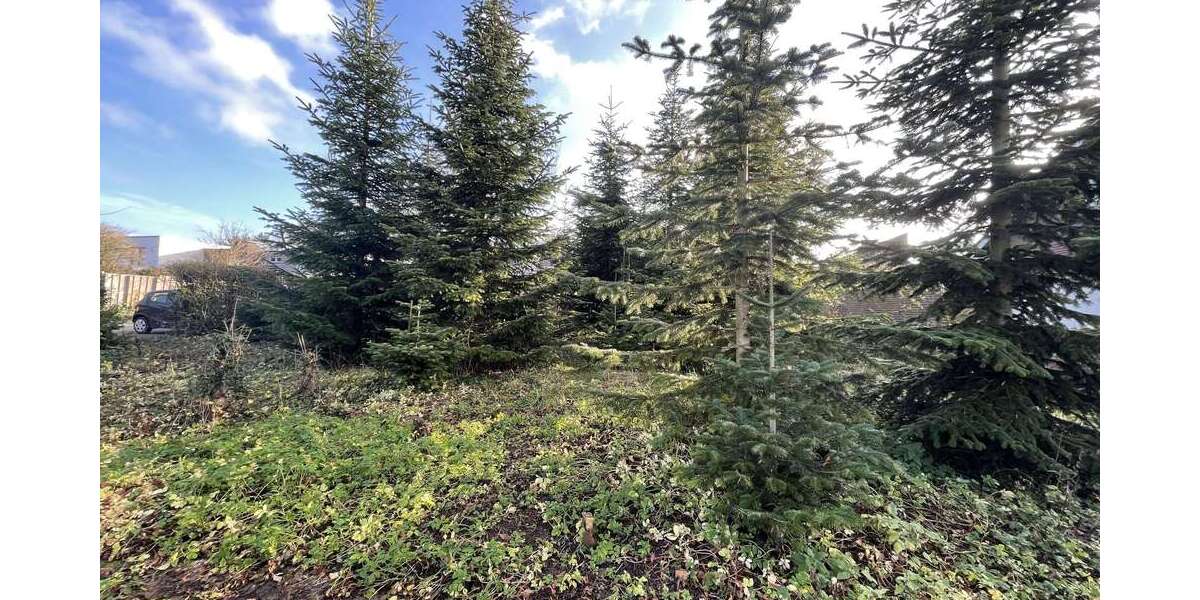 Grundstück Coesfeld - 221.250&euro; | Angebot:24277117