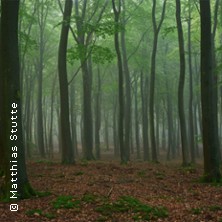 In einem tiefen, dunklen Wald