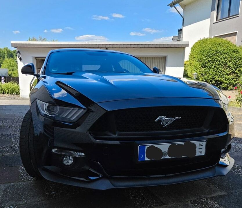 Mustang
